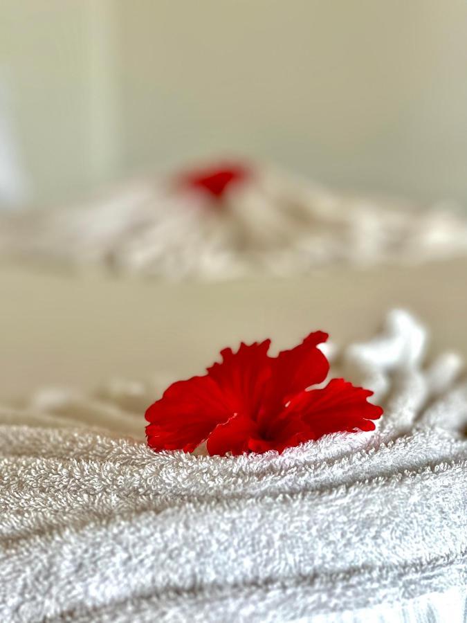 Jambiani White Sands Bungalows Екстериор снимка