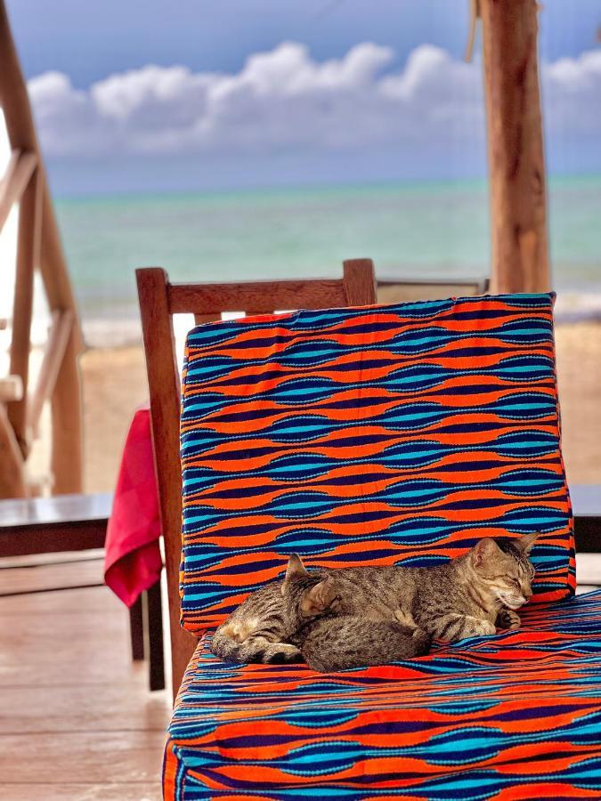 Jambiani White Sands Bungalows Екстериор снимка