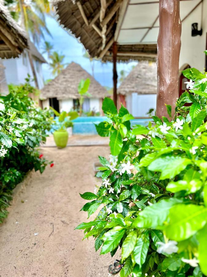 Jambiani White Sands Bungalows Екстериор снимка
